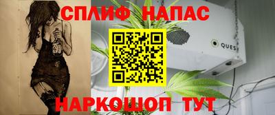 гашик Обнинск