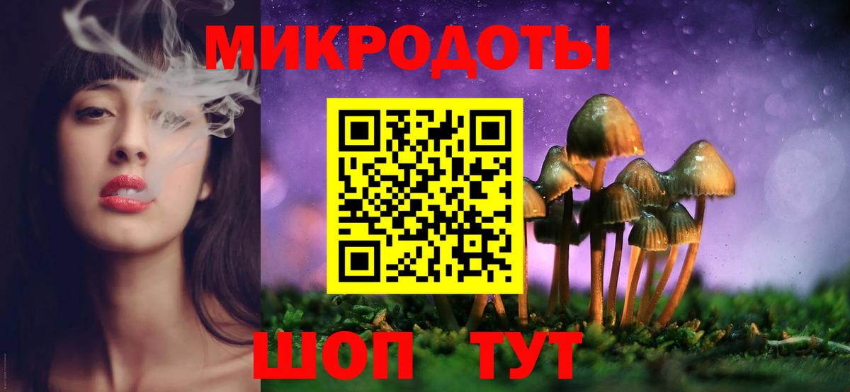 Псилоцибиновые грибы мицелий Азов